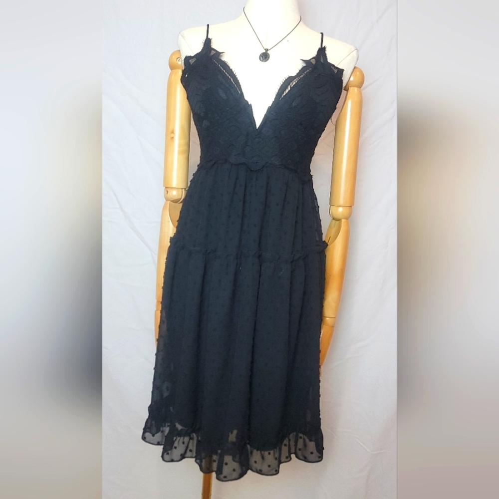 Black Semi-sheer Dotted Organza Mini Dress